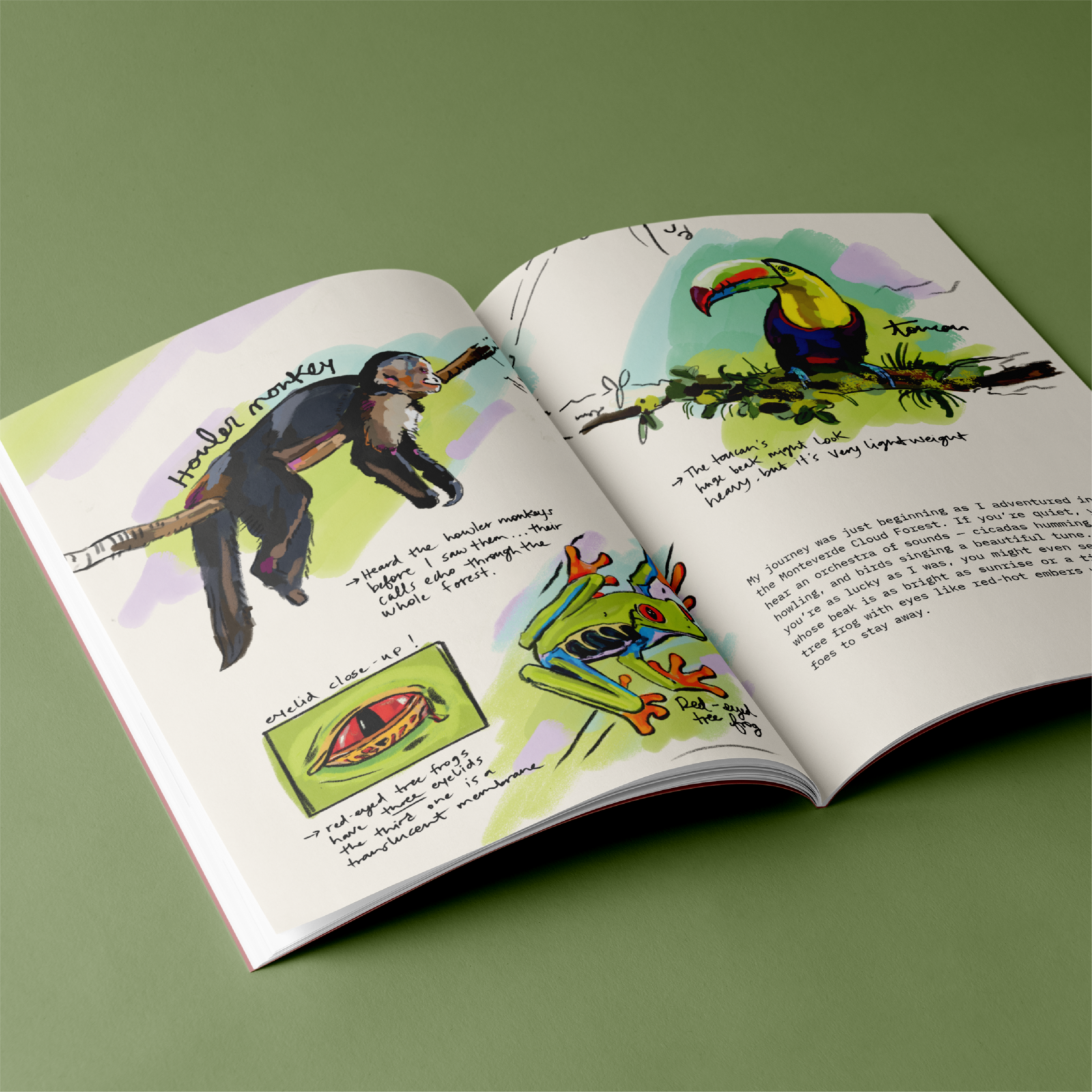 Monthly Sketchbooklet